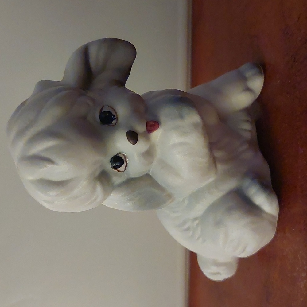 Poodle Salt & Pepper - Picture 8 of 13